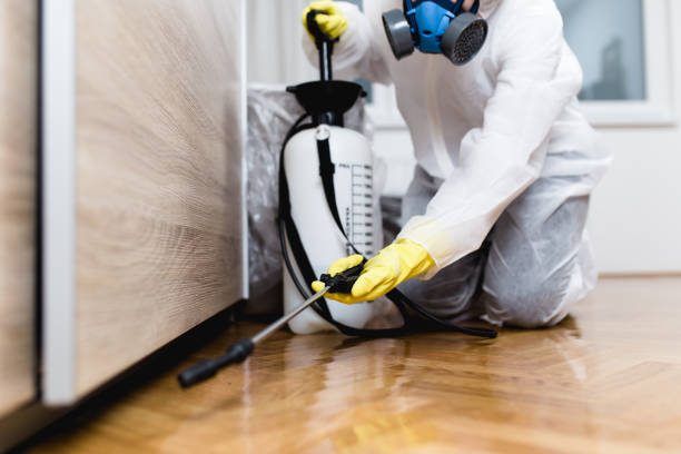 Best Pest Removal Services  in Tontitown, AR