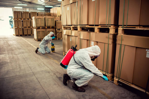 Best Local Pest Control Services  in Tontitown, AR