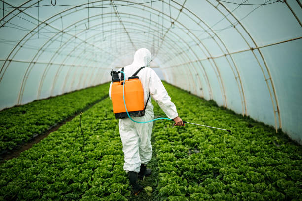 Best Best Pest Control Companies  in Tontitown, AR