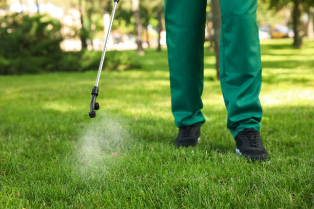 Best Residential Pest Control  in Tontitown, AR