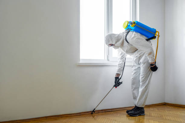 Best Exterminator Services  in Tontitown, AR