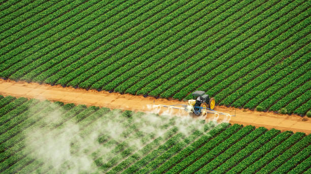 Professional Pest Control in Tontitown, AR