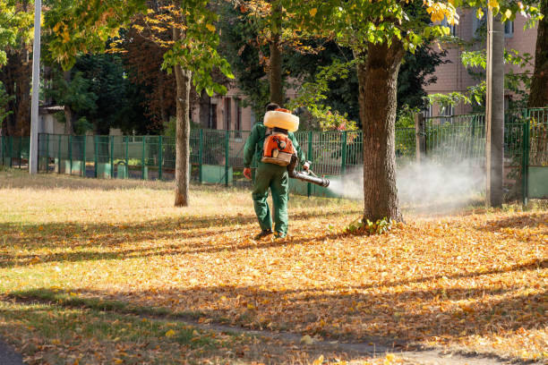 Best Affordable Pest Control Services  in Tontitown, AR