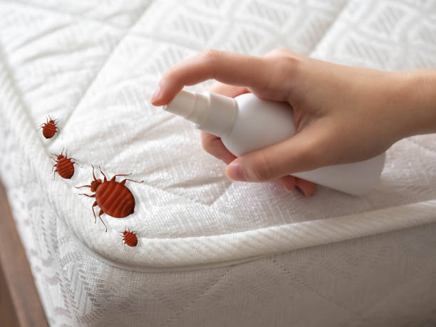 Best Commercial Pest Control Services  in Tontitown, AR
