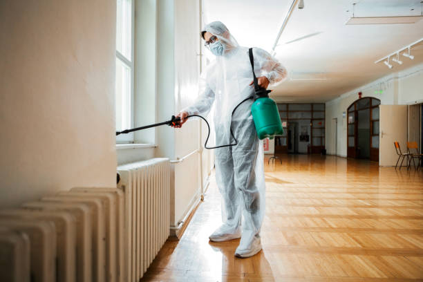 Best Wasp Removal Services  in Tontitown, AR