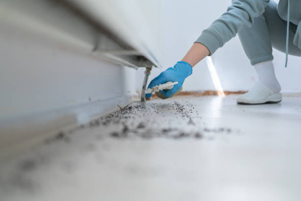 Wildlife Control Services in Tontitown, AR