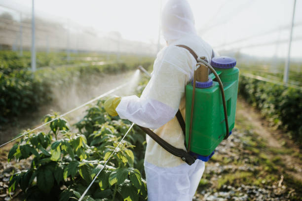 Best Wildlife Control Services  in Tontitown, AR